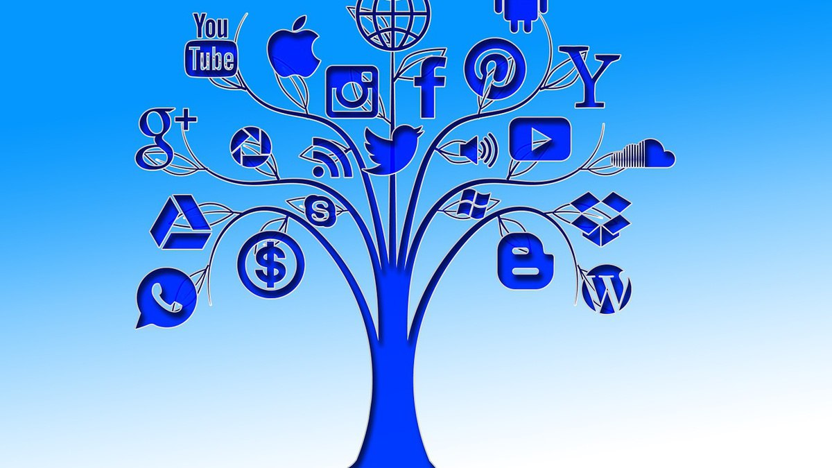 Національна асоціація лобістів України підтримує ініціативу Європарламенту щодо мінімального віку доступу до соцмереж